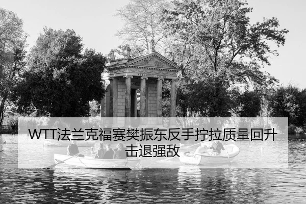 WTT法兰克福赛樊振东反手拧拉质量回升击退强敌